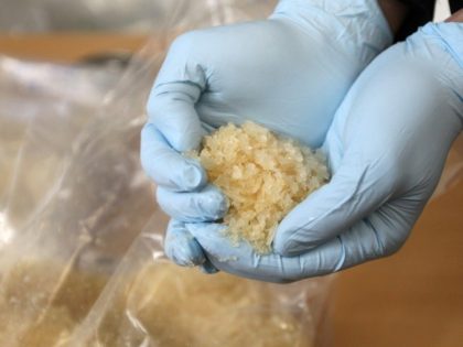 Mexico seizes record 50 tons of meth