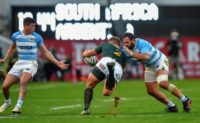 South Africa had to fight back to see off a plucky Argentina