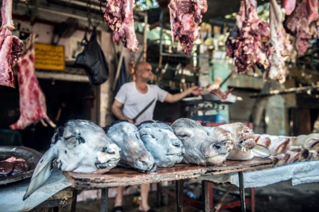 Cairo looks to curb street sheep slaughter for Eid holiday