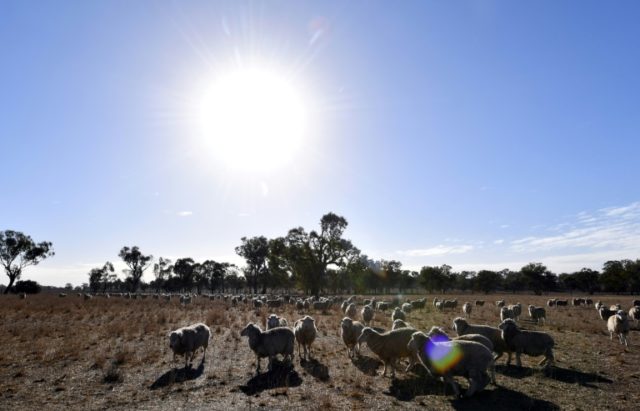Australia ramps up aid to farmers as drought bites