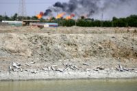 Dead fish lie on the bank of a reservoir at a fish farm north of Basra in southern Iraq with burning oil fields in the background