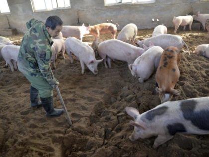 The Associated Press