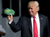 Trump Donald Trump President Donald Trump hold up hats that read "Make Our Farmers Great Again!" as he walks across the South Lawn before boarding Marine One at the White House in Washington, Thursday, Aug. 30, 2018, for a short trip to Andrews Air Force Base, Md., and then on to Evansville, Ind., for a rally. (AP Photo/Andrew Harnik) Donald Trump