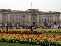 LONDON, ENGLAND - APRIL 15: Blossom and spring flowers bloom in front of Buckingham Palace before the Royal Wedding on April 15, 2011 in London, England. Stands, media facilities and temporary fencing are being erected along the route the couple will travel. (Photo by Matthew Lloyd/Getty Images)