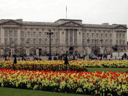 LONDON, ENGLAND - APRIL 15: Blossom and spring flowers bloom in front of Buckingham Palace before the Royal Wedding on April 15, 2011 in London, England. Stands, media facilities and temporary fencing are being erected along the route the couple will travel. (Photo by Matthew Lloyd/Getty Images)