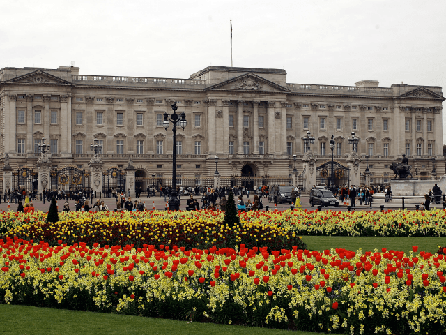 LONDON, ENGLAND - APRIL 15: Blossom and spring flowers bloom in front of Buckingham Palace