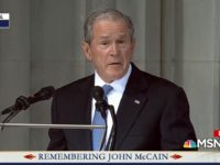 Bush 91 Thumbnail Screenshot