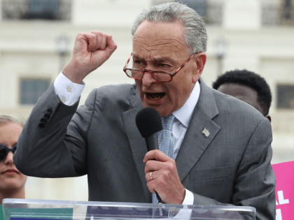 Senate Minority Leader Charles Schumer (D-NY) joins activist groups in speaking out against Supreme Court nominee Brett Kavanaugh, at the U.S. Capitol on August 1, 2018 in Washington, DC. Kavanaugh, President Trump's pick to replace Anthony Kennedy, continues to meet with Senators on Capitol Hill. (Photo by Mark Wilson/Getty Images)