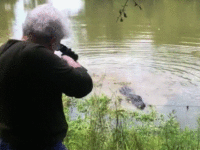 Cochran's alligator Cochran's alligator