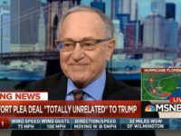 Dershowitz 914 Thumbnail Screenshot