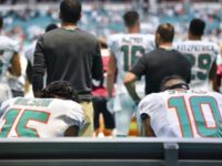 Three Dolphins Protest During the National Anthem