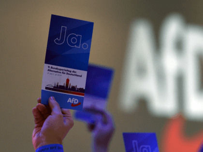 A delegate holds up a voting card reading 'yes' during a party congress of Germa