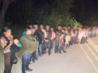Illegal Aliens Lined Up Illegal Aliens Lined Up