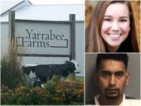 Mollie Tibbetts-Bahena-Rivera-Yarrabee Farms
