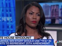 Omarosa: Trump Obsessed With ‘Insulting Very Accomplished African Americans’