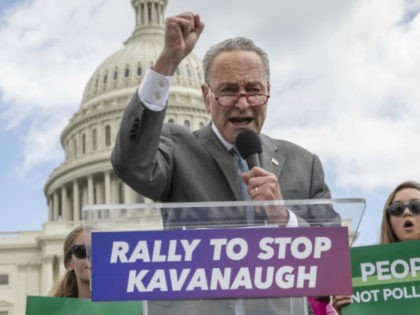 In this Aug. 1, 2018 file photo, Senate Minority Leader Chuck Schumer, D-N.Y., joins protesters objecting to President Donald Trump's Supreme Court nominee Brett Kavanaugh at a rally Capitol in Washington. Schumer, who plans to meet Kavanaugh privately early this week, is methodically building arguments that would help vulnerable Democratic …
