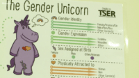 The Gender Unicorn Chart