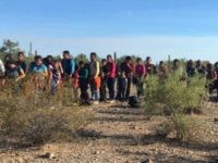 USBP - Tucson Sector - 163 migrants arrested near Lukeville Ajo Station Border Patrol agents arrest a group of 163 migrants near Lukeville, Arizona. (Photo: U.S. Border Patrol/Tucson Sector)
