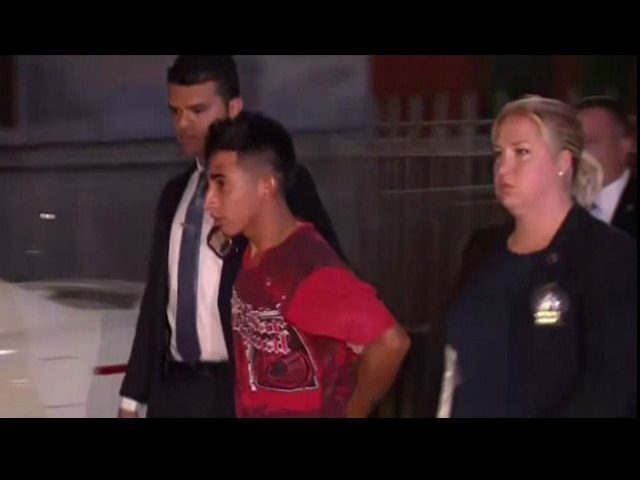 Julio Cesar Ayala, 18, was detained by the NYPD on Saturday and charged with sexually motivated burglary and first-degree rape