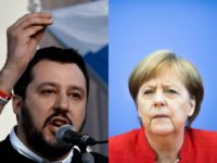 merkelsalvini