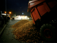 UK: Over 100,000 Pounds of Onions Destroyed After Illegal Migrants Found in Delivery Lorries