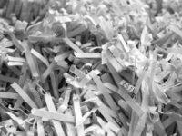 Math Journal Kills Research Study After PC Backlash