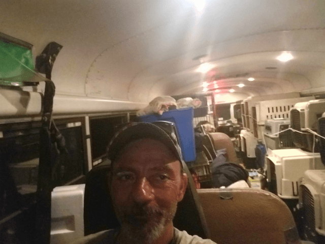 Tony Alsup has spent the last week in a school bus, rescuing dozens of dogs and cats left