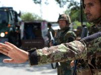 A wave of violence across Afghanistan in recent weeks has claimed the lives of hundreds of civilians and security forces At least 32 killed in suicide attack on Afghan protesters