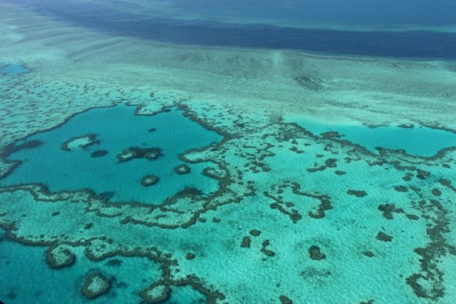 It's not that bad! Science, tourism clash on Great Barrier Reef
