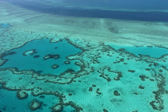 Every year, more than two million snorkel-wielding tourists head to Australia's famed coral ecosystem It's not that bad! Science, tourism clash on Great Barrier Reef