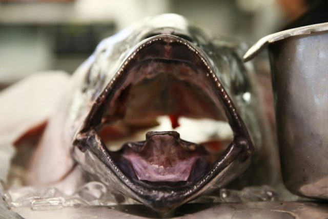Fisheries nations to decide fate of declining bigeye tuna