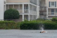 Florence weakens into depression, heads north Florence weakens into depression, heads north