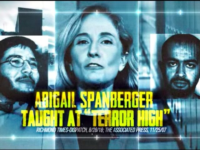 Ad Opposing Abigail Spanberger