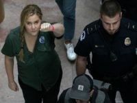 AmySchumer crop Amy Schumer