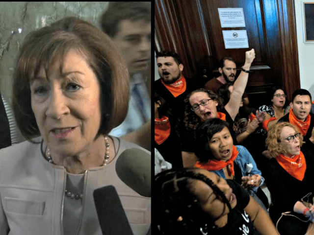 Anti-Kavanaugh Protesters Bully Susan Collins