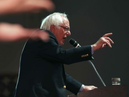 Bernie Sanders in Nevada (John Locher / Associated Press)