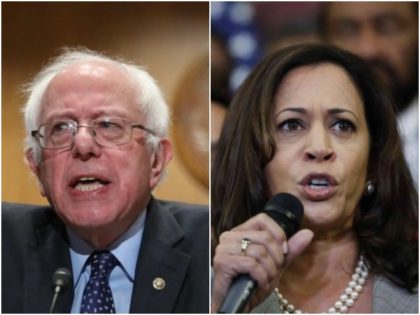 Combo photo of Bernie Sanders and Kamala Harris-AP/Getty