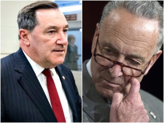 Combo-donnelly-schumer-ap