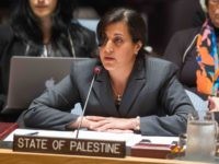 Feda Abdelhady-Nasser (UN Photo by Loey Felipe)