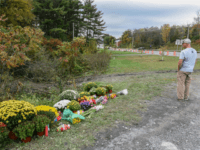 Reports: Limousine that Killed 20 Americans Owned by Immigrant Who Worked with FBI