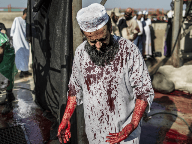 A South African Muslim, his jalabiya stained with blood from a bull, stands with others as they gathered during a ritual slaughter at a halal abattoir in Lenasia, 30km south of Johannesburg, for Eid al-Adha on September 24, 2015. The world's 1.5 billion Muslims is marking Eid al-Adha, the Feast …