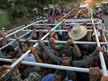 Migrants travel on a cattle truck, as a thousands-strong caravan of Central American migrants slowly makes its way toward the U.S. border, between Pijijiapan and Arriaga, Mexico, Friday, Oct. 26, 2018. Many migrants said they felt safer traveling and sleeping with several thousand strangers in unknown towns than hiring a …
