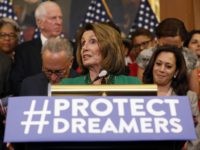 Nancy Pelosi amnesty (Aaron P. Bernstein / Getty) Nancy Pelosi amnesty (Aaron P. Bernstein / Getty)