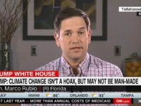 Rubio1016 Rubio1016