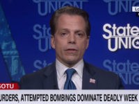 Scaramucci: The People of Israel Do Not Think Trump Is Anti-Semitic