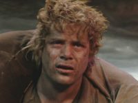 Seanastin1