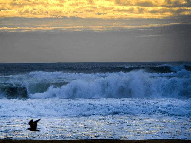 Storm Leslie