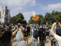 Trump Blimp Trump Blimp