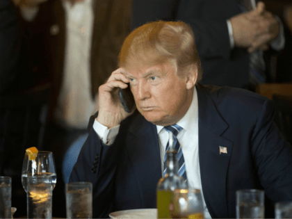 Donald Trump Calls In to Gettysburg Hearing: We Have to Overturn Election Because Democrats Cheated