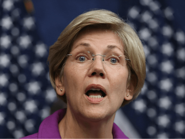 Sen. Elizabeth Warren (D-MA) delivers remarks during a news conference on the fifth annive